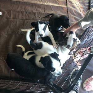 Meet your Posher, Diego